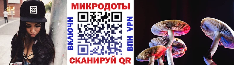 Купить  Новоузенск  Псилоцибиновые грибы Psilocybine cubensis 